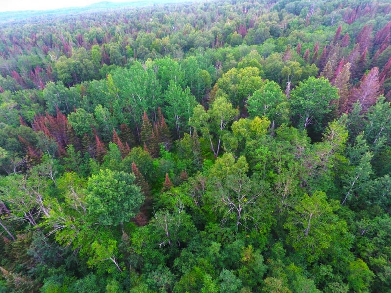 XXXX County Road 14, Grand Marais, MN 55604