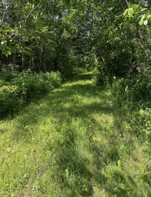 XXXX County Road 14, Grand Marais, MN 55604