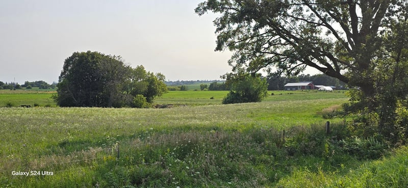 XXXXX 156th St, Harmony, MN 55939