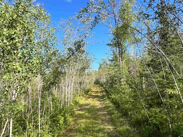 58xxx County Hwy A, Iron River, WI 54847
