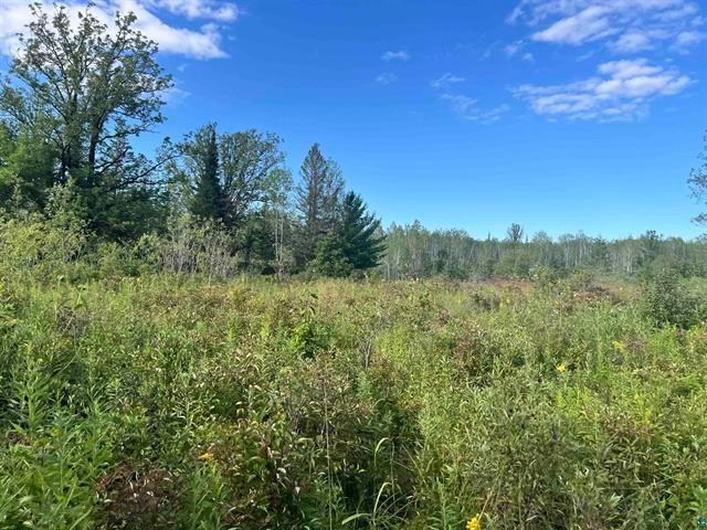58xxx County Hwy A, Iron River, WI 54847