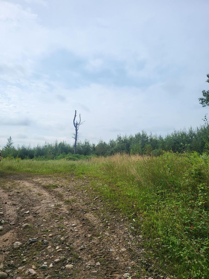 TBD Nokay Hall Rd, Brainerd, MN 56401
