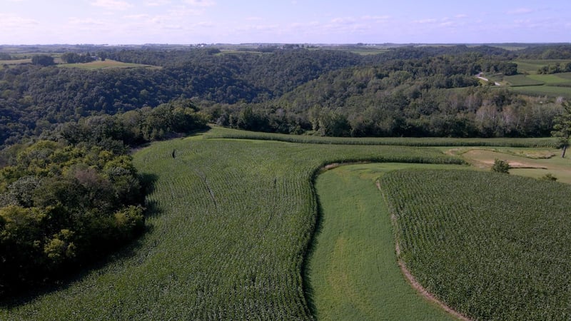 XXX Crazy Corners Rd, Caledonia, MN 55921