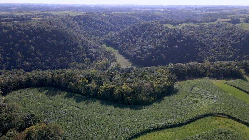 XXX Crazy Corners Rd, Caledonia, MN 55921