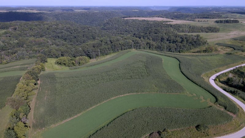 XXX Crazy Corners Rd, Caledonia, MN 55921