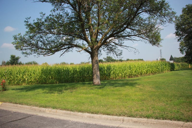 XXX Boulevard St, Belview, MN 56214