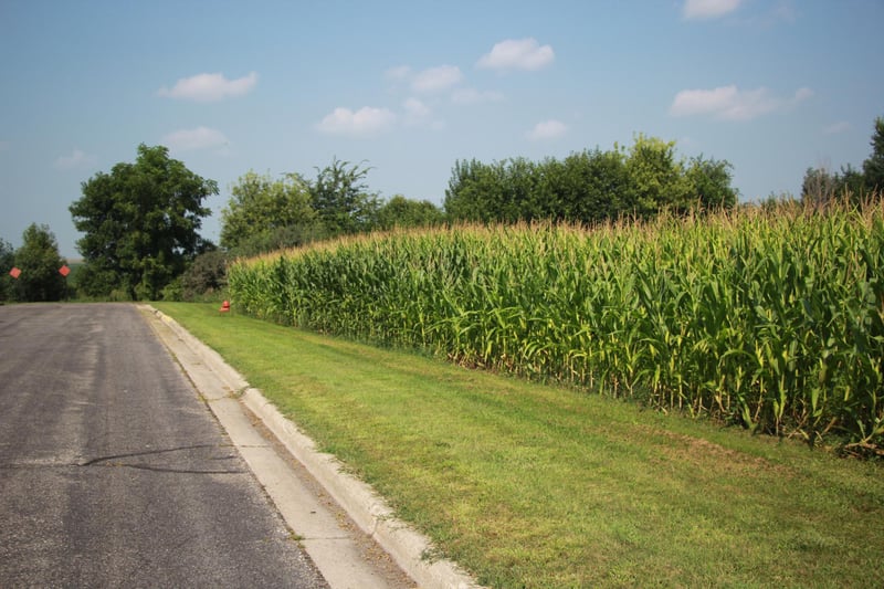 XXX Boulevard St, Belview, MN 56214