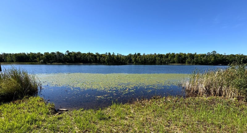 29357 442nd Ln, Palisade, MN 56469