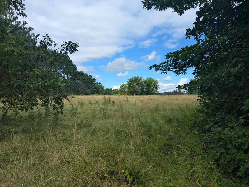 xxx Lot 9 Niles Ln, Centuria, WI 54824
