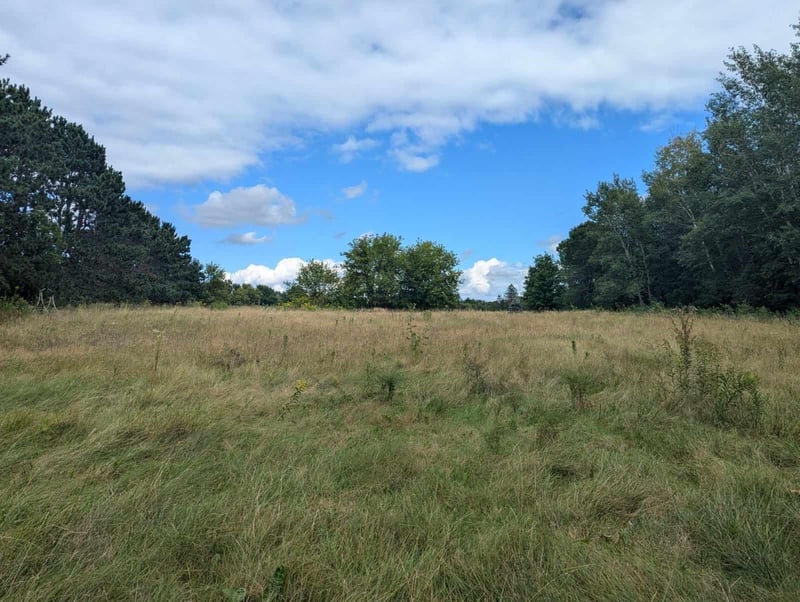 xxx Lot 9 Niles Ln, Centuria, WI 54824