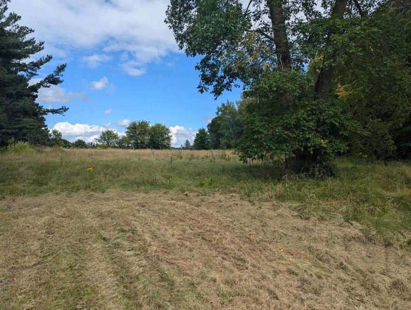 xxx Lot 9 Niles Ln, Centuria, WI 54824