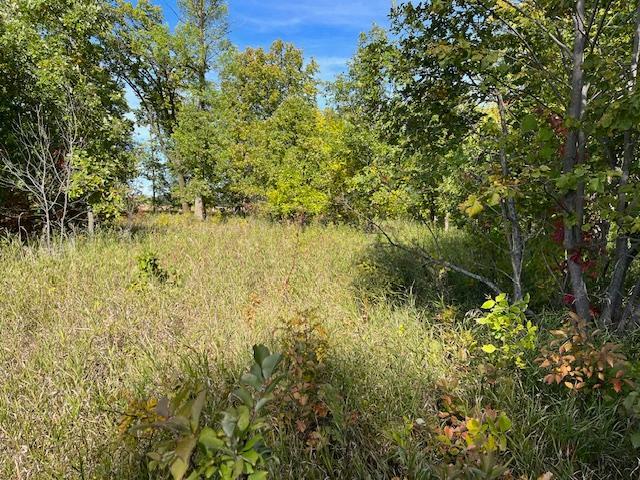 xxxx Woodsmen Ln SW, Alexandria, MN 56308