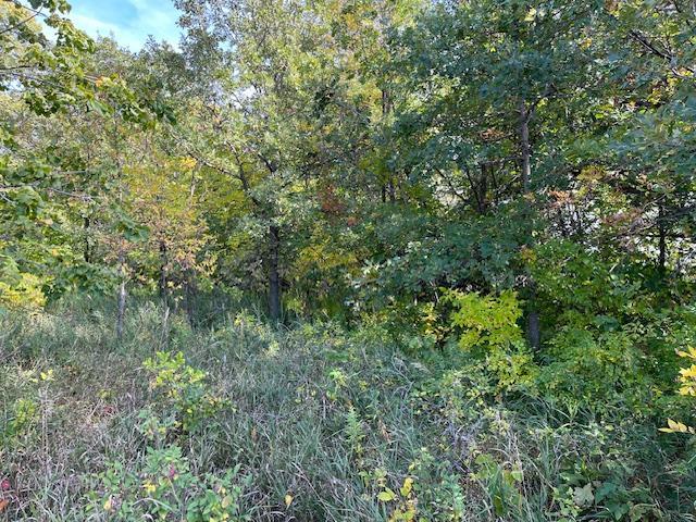 xxxx Woodsmen Ln SW, Alexandria, MN 56308