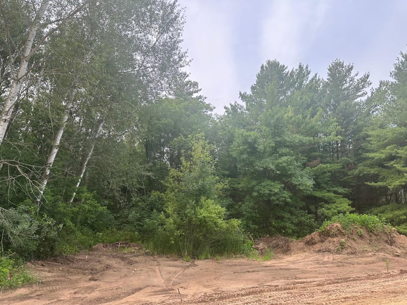 Lot 14 Blk 1 Brummer Dr, Randall, MN 56475