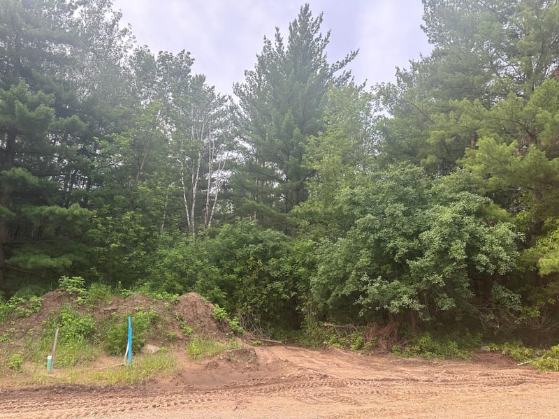 Lot 13 Blk 1 Brummer Dr, Randall, MN 56475