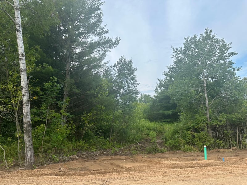 Lot 12 Blk 1 Brummer Dr, Randall, MN 56475