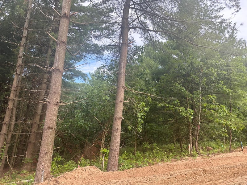 Lot 9 Blk 1 Brummer Dr, Randall, MN 56475