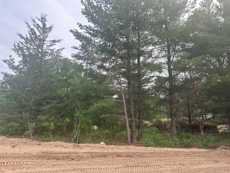 Lot 4 Blk 1 Ridgewood Dr, Randall, MN 56475