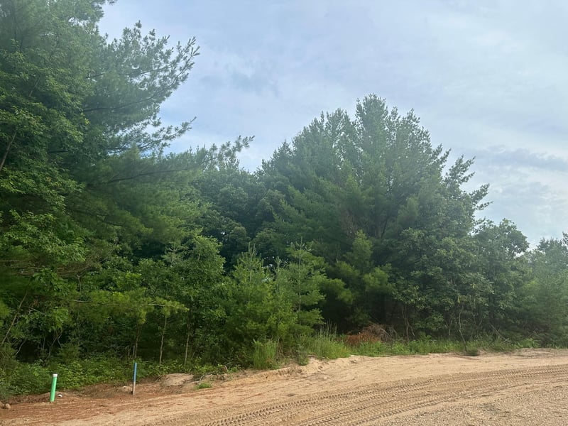 Lot 8 Blk 1 Ridgewood Dr, Randall, MN 56475