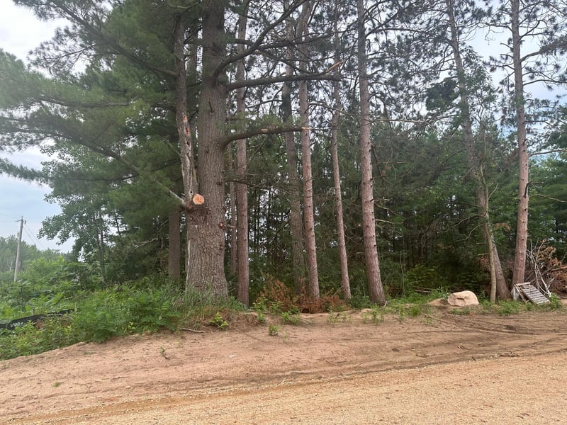 Lot 1 Blk 2 Ridgewood Dr, Randall, MN 56475