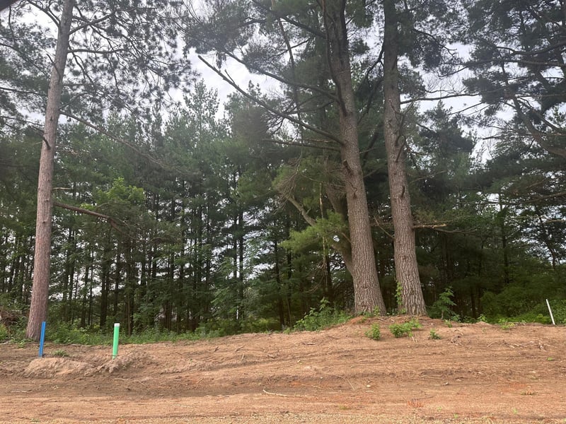 Lot 2 Blk 2 Ridgewood Dr, Randall, MN 56475