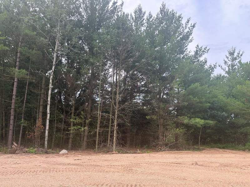 Lot 3 Blk 2 Ridgewood Dr, Randall, MN 56475