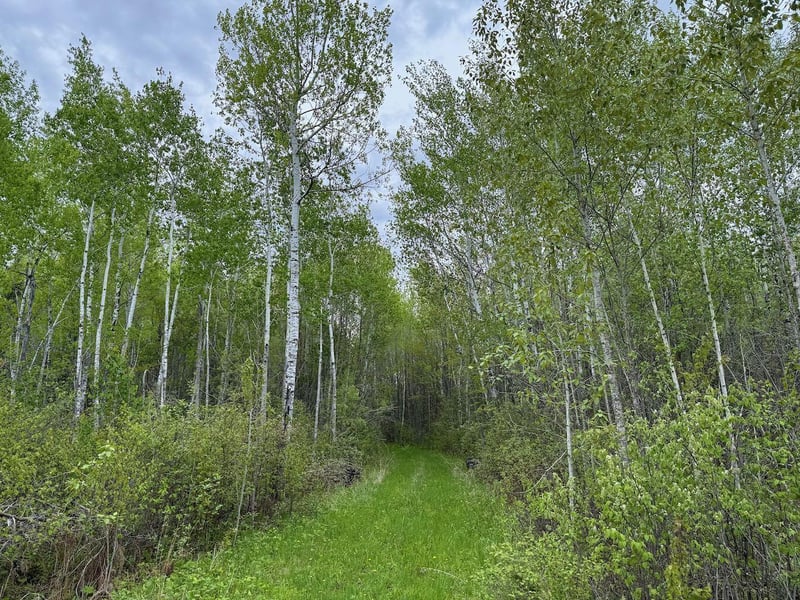 11000 Cr64, Mizpah, MN 56660