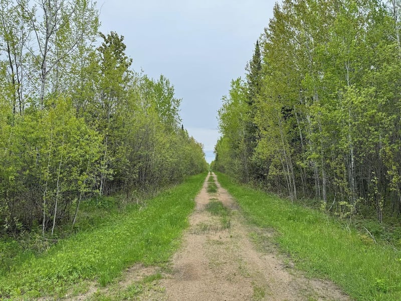 11000 Cr64, Mizpah, MN 56660