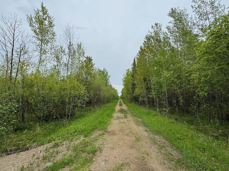 11000 Cr64, Mizpah, MN 56660