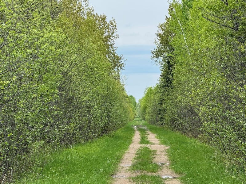 11000 Cr64, Mizpah, MN 56660