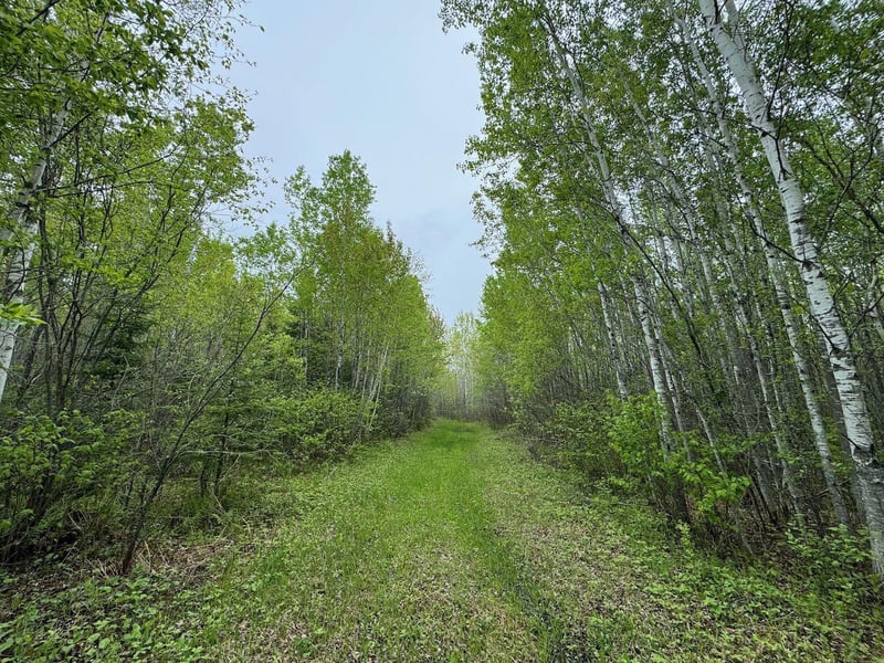 11000 Cr64, Mizpah, MN 56660