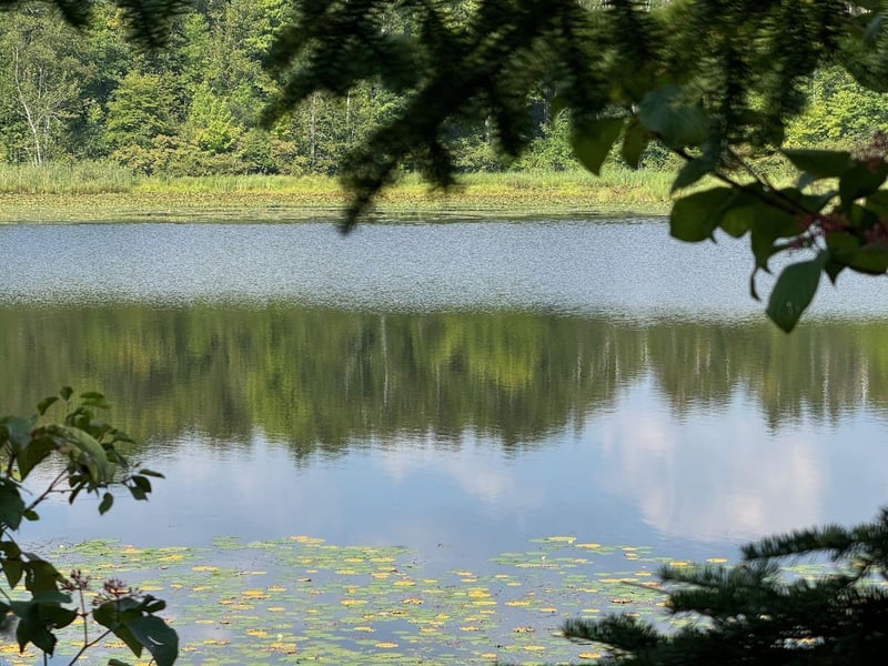 Lot Lake Cr25, Mizpah, MN 56660