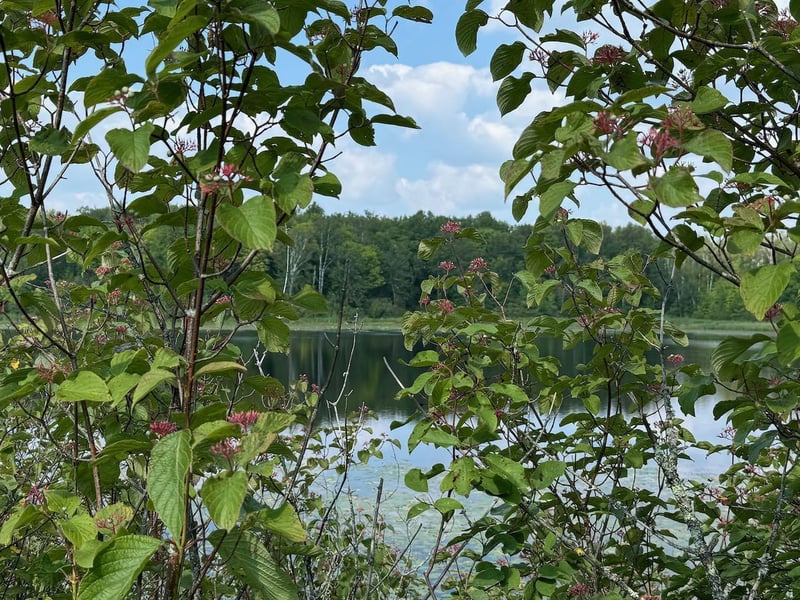 Lot Lake Cr25, Mizpah, MN 56660
