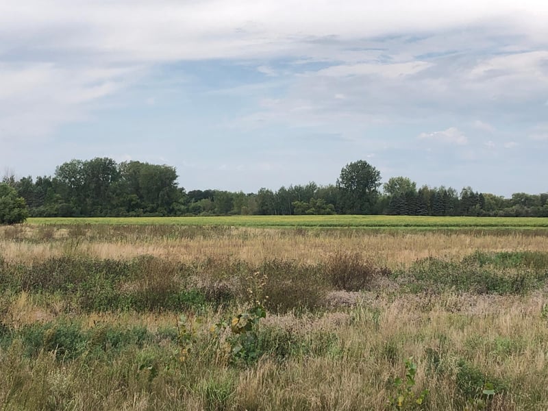 513 Northern Meadows Ln, Sartell, MN 56377