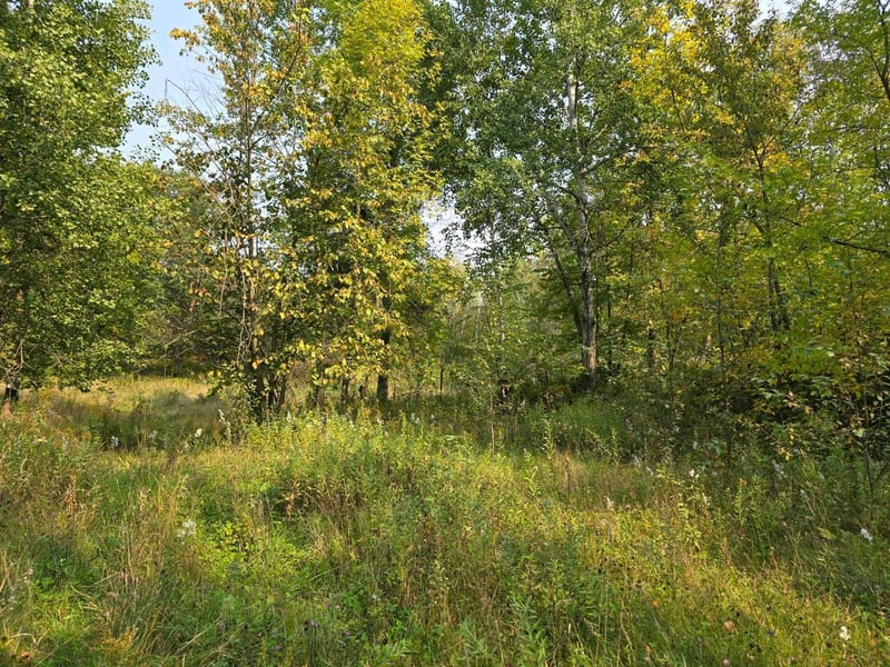 42206 County Highway 26, Rochert, MN 56578