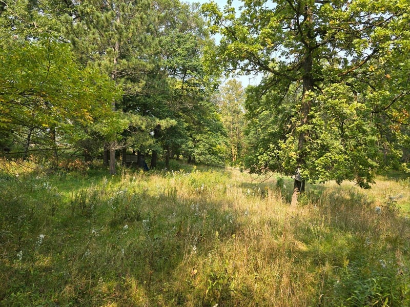 42206 County Highway 26, Rochert, MN 56578