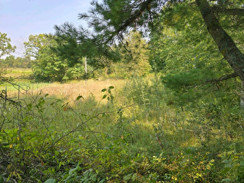42206 County Highway 26, Rochert, MN 56578