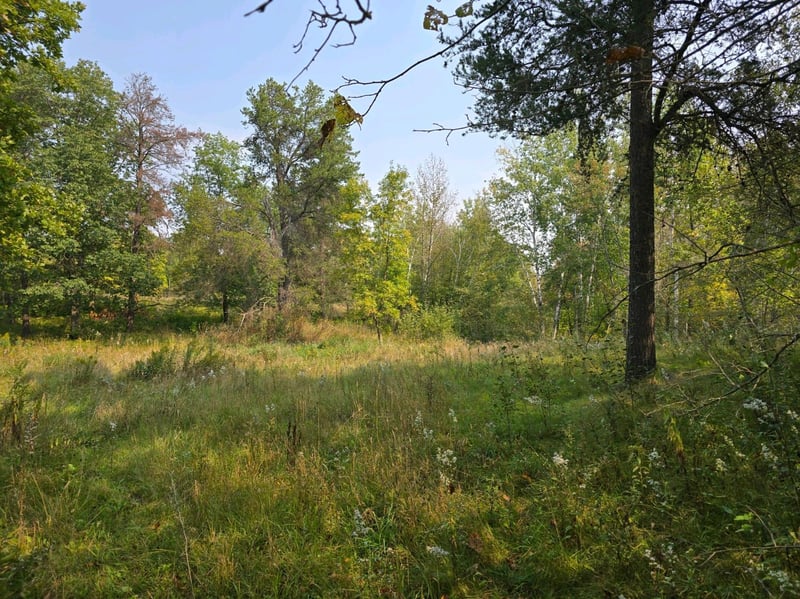 42206 County Highway 26, Rochert, MN 56578
