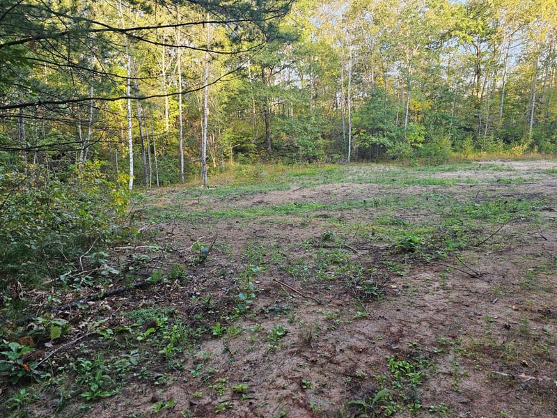 0 5 4 Acres County Road 30, Crosby, MN 56441