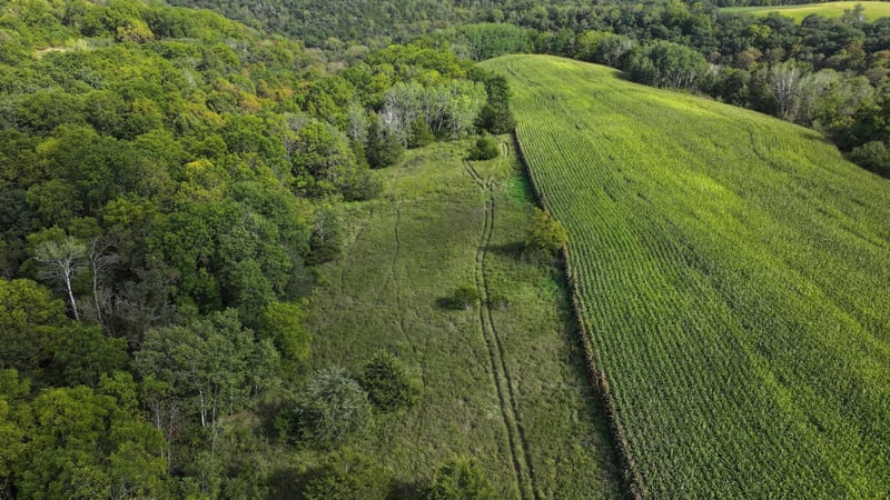 xxx State Hwy 43, Mabel, MN 55954