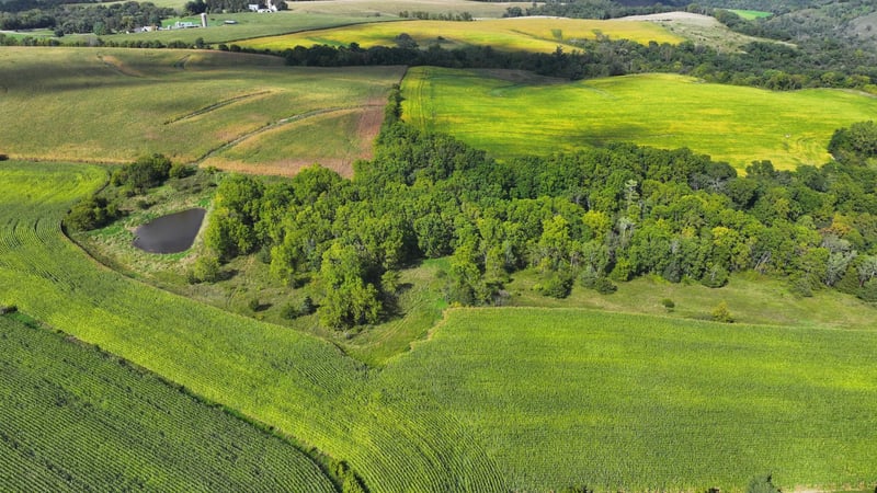 xxx State Hwy 43, Mabel, MN 55954