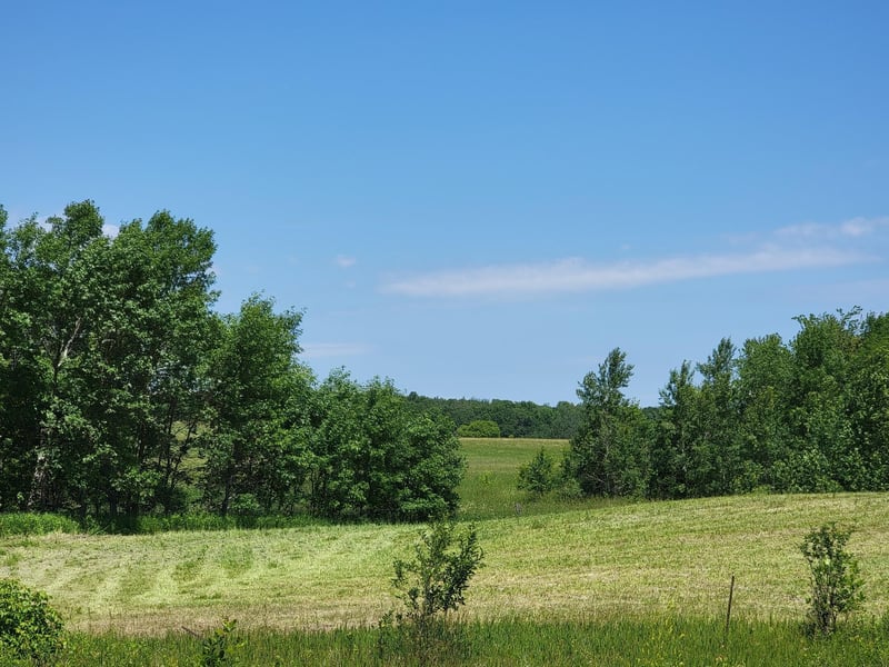 Lot 4 Co Hwy 4, Lake Park, MN 56554