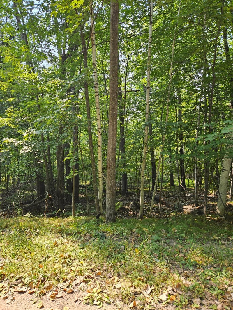 Lots 41-43 Catskill Dr, Breezy Point, MN 56472