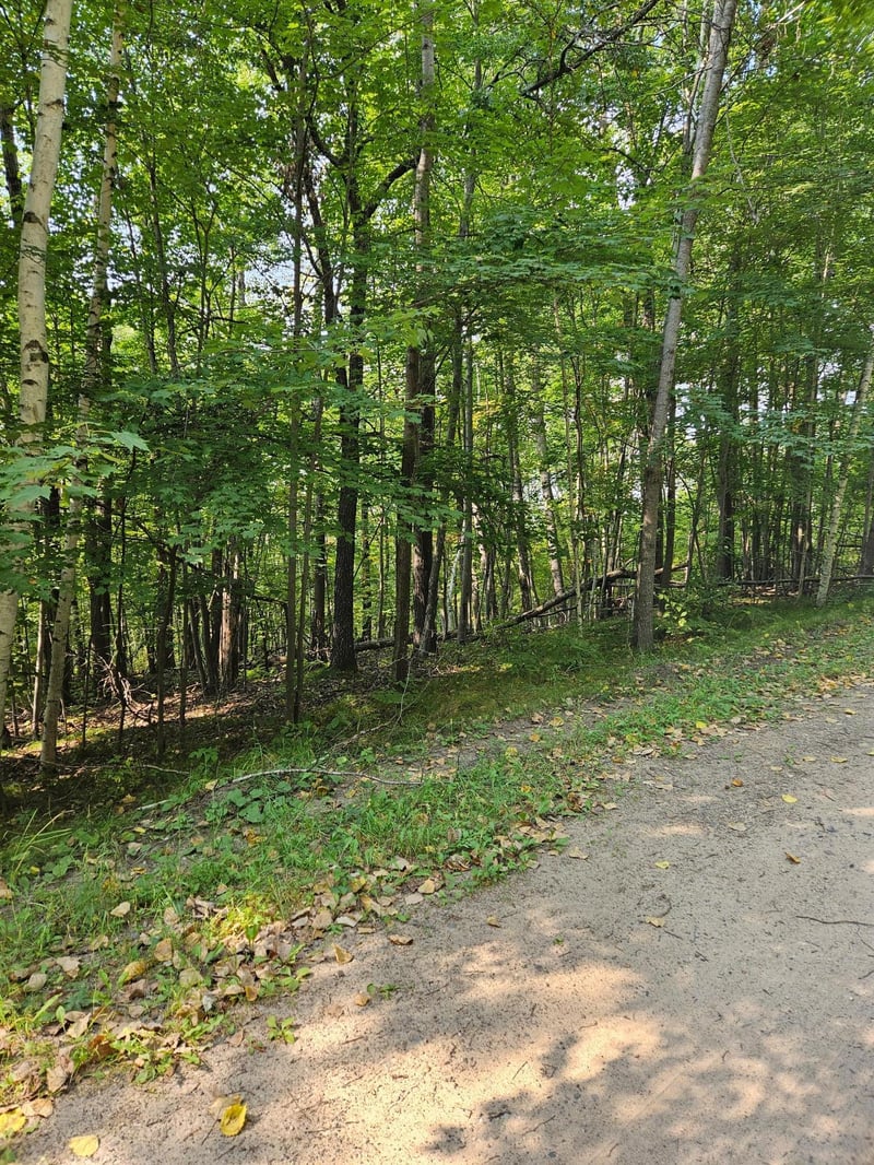 Lots 41-43 Catskill Dr, Breezy Point, MN 56472