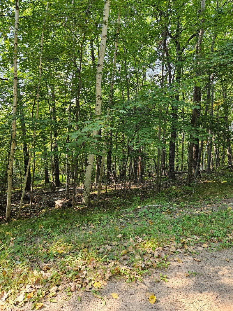Lots 41-43 Catskill Dr, Breezy Point, MN 56472