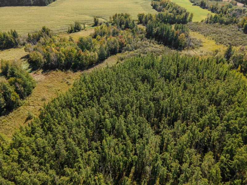 000 Hinckley Rd, Hinckley, MN 55037