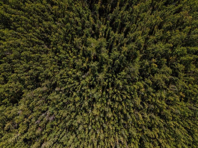 000 Hinckley Rd, Hinckley, MN 55037