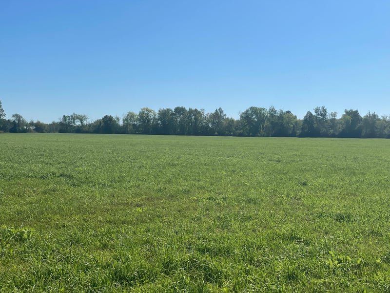 xxx 140th, Foreston, MN 56330