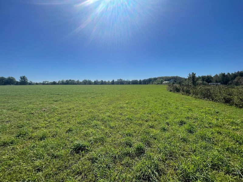 xxx 140th, Foreston, MN 56330
