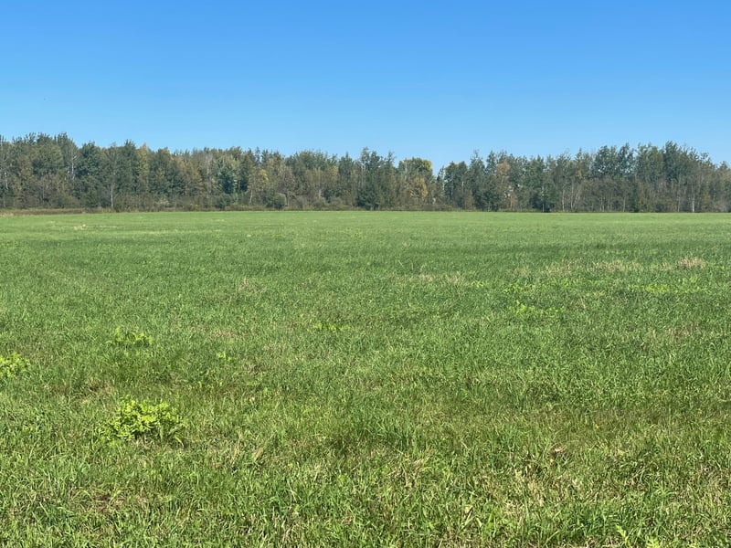 xxx 140th, Foreston, MN 56330